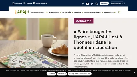 Capture du site APAJH