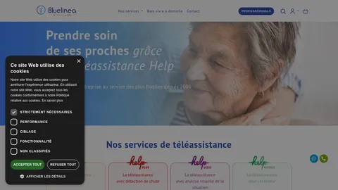 Capture du site BlueLinea